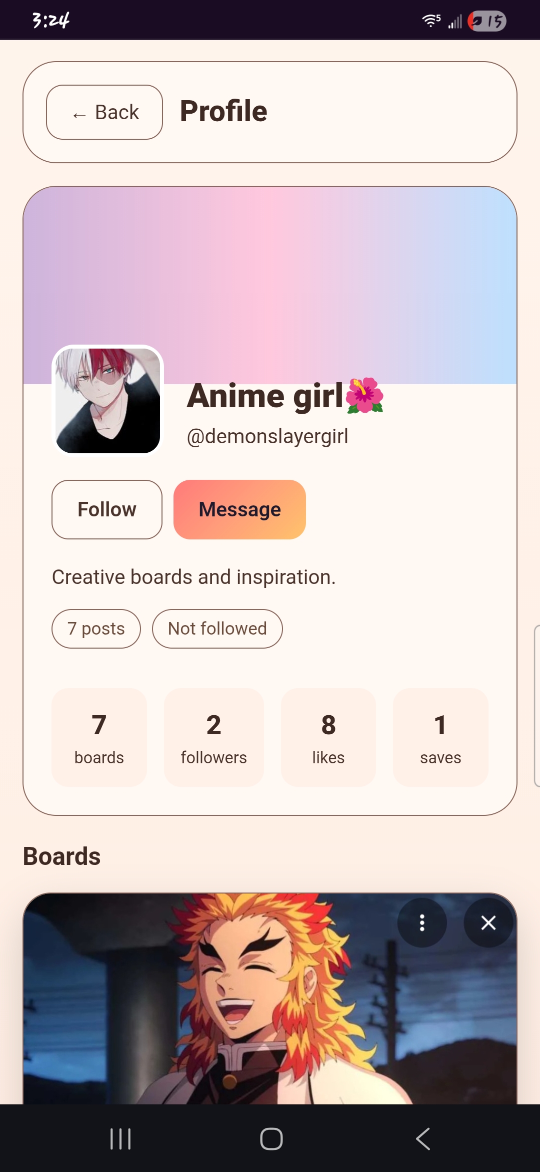 User profile with followers, boards and stats